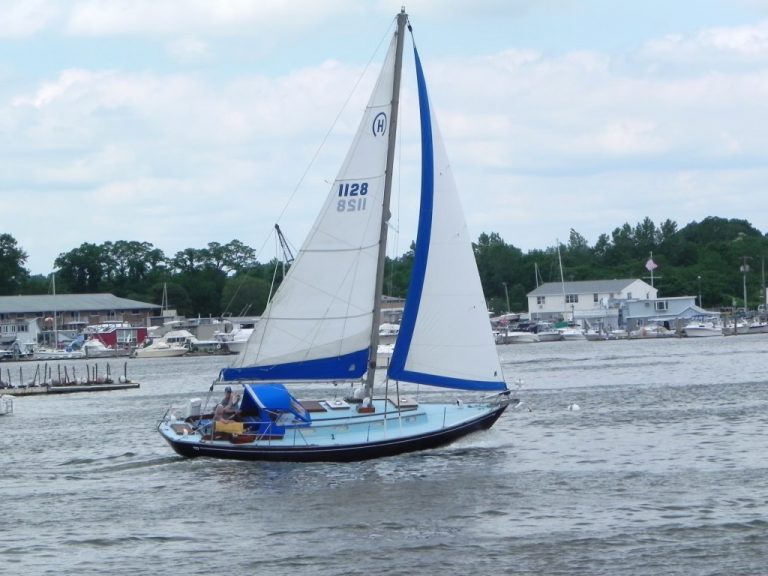 IMG 0049 1 768x576