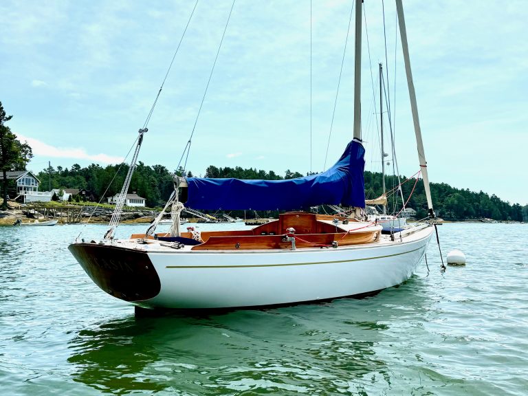 IMG 0082 768x576