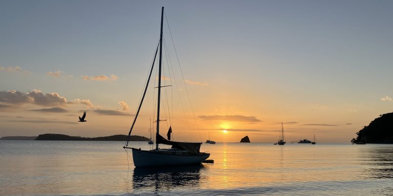 IMG 23041 1 768x383