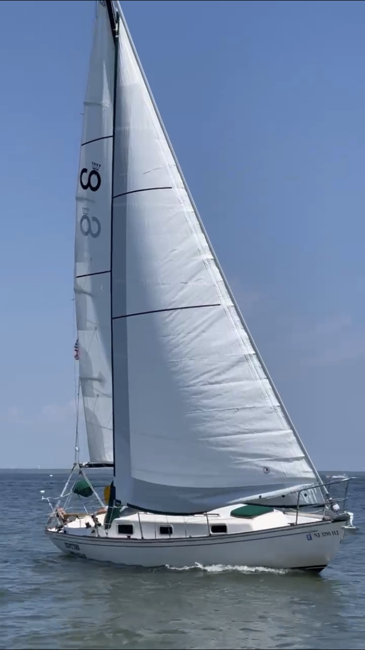 IMG 2733