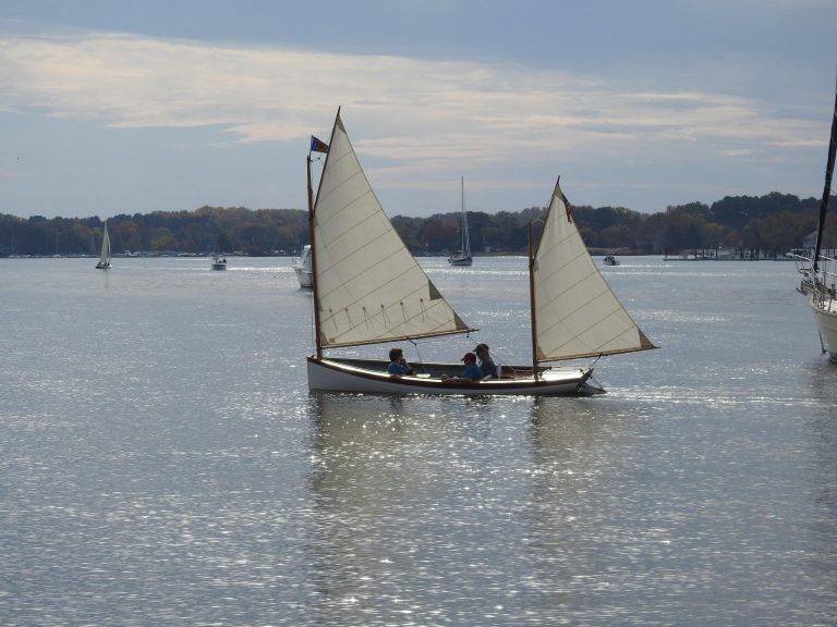 IMG 3681 768x576