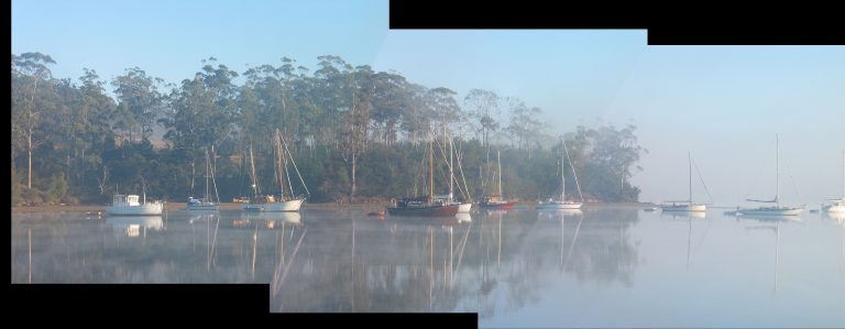 duckpond 768x299
