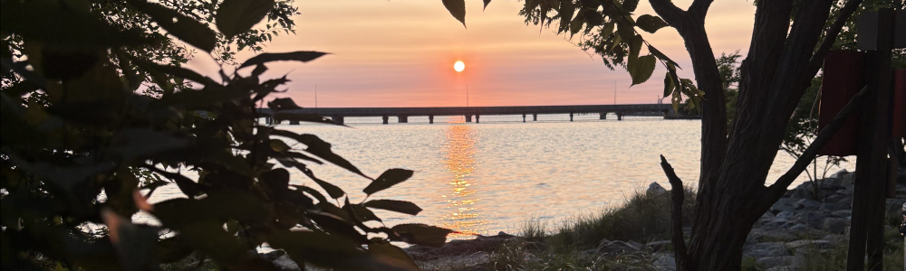 User banner image