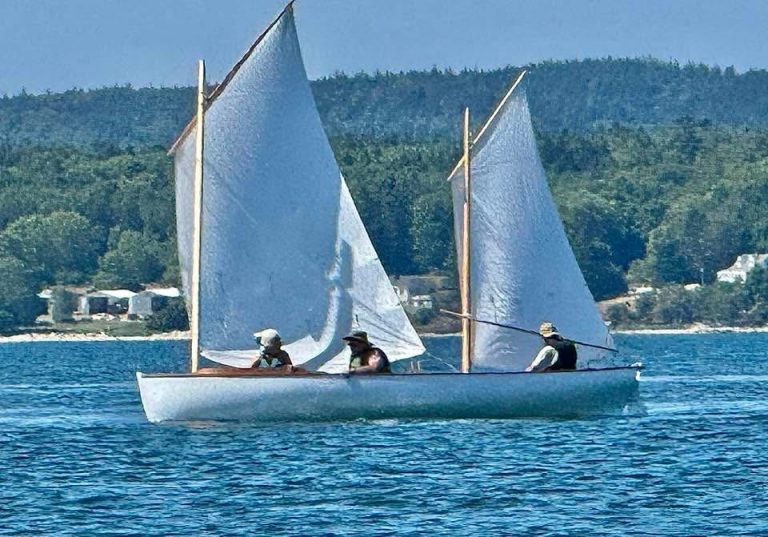 IMG 0800 768x537