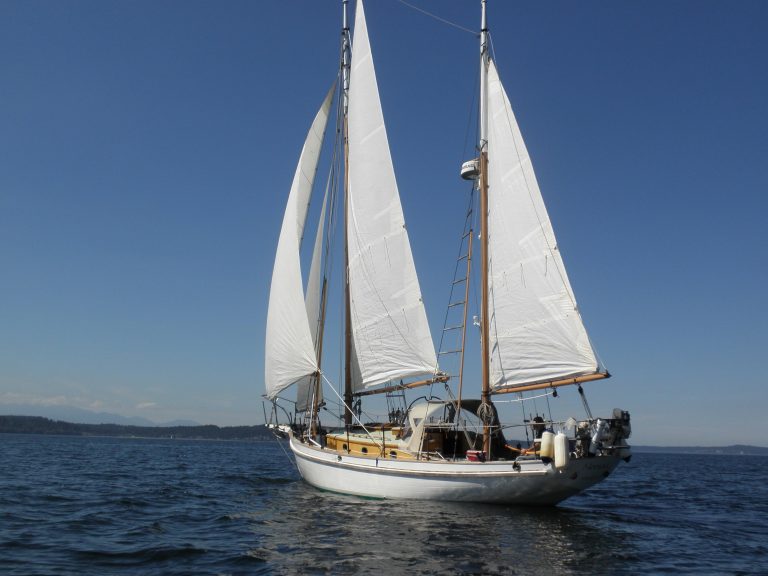 Nomad on wind 768x576