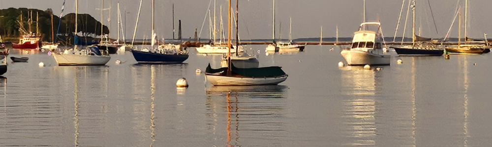 User banner image