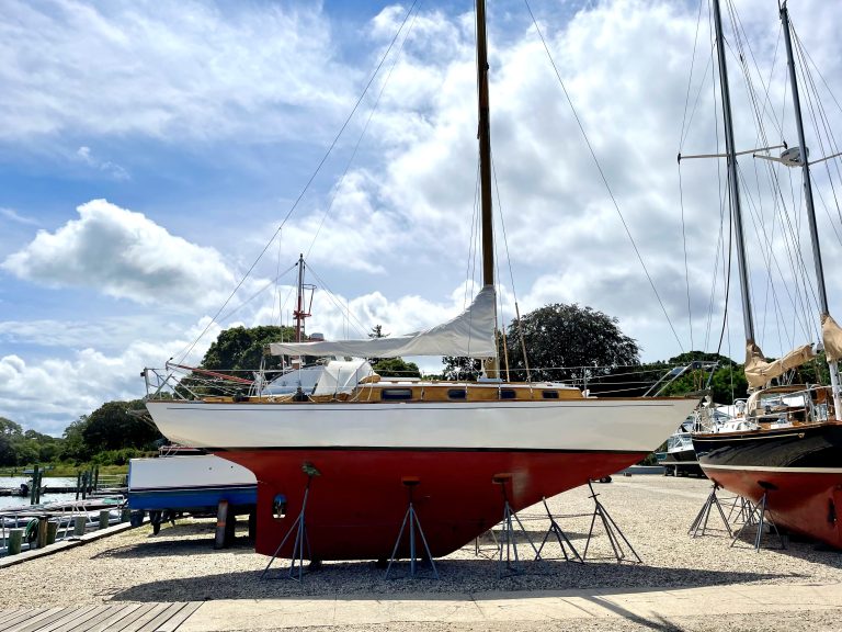 IMG 0138 1 768x576