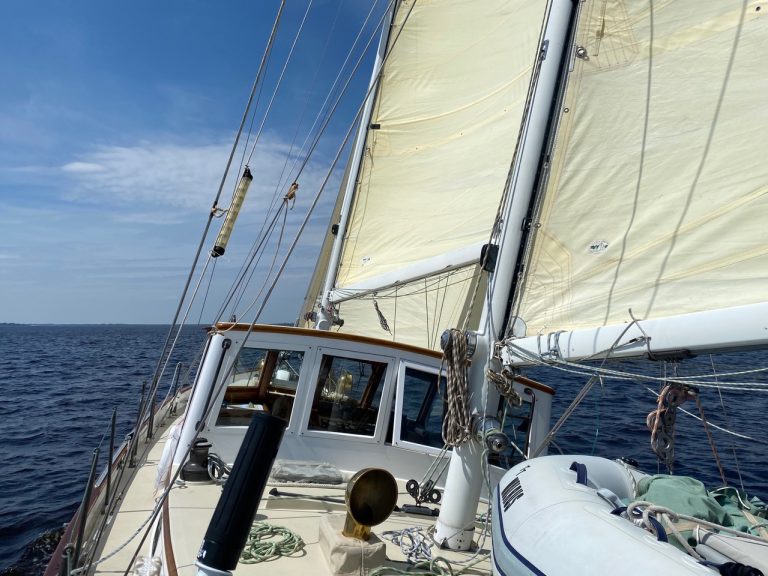 IMG 0930 768x576