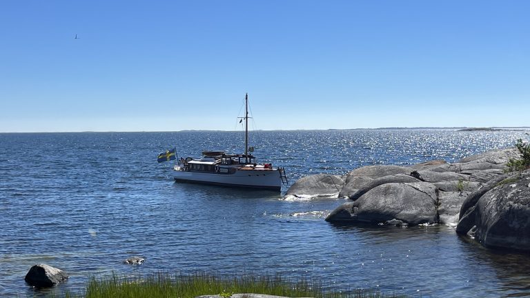 IMG 1551 768x432