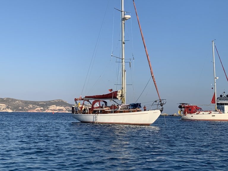 IMG 2771 1 768x576