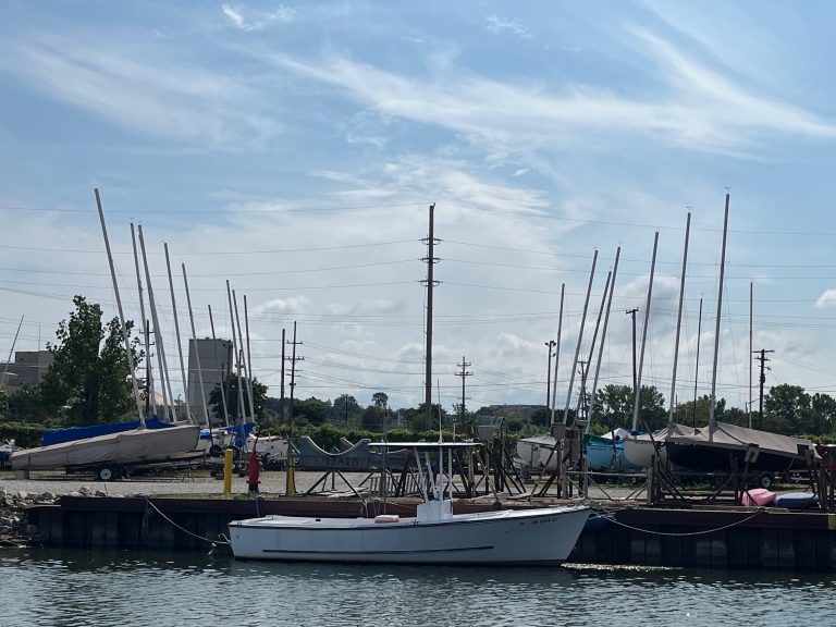 IMG 4512 1 768x576