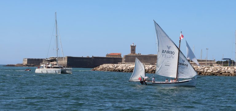 IMG 9940 768x360