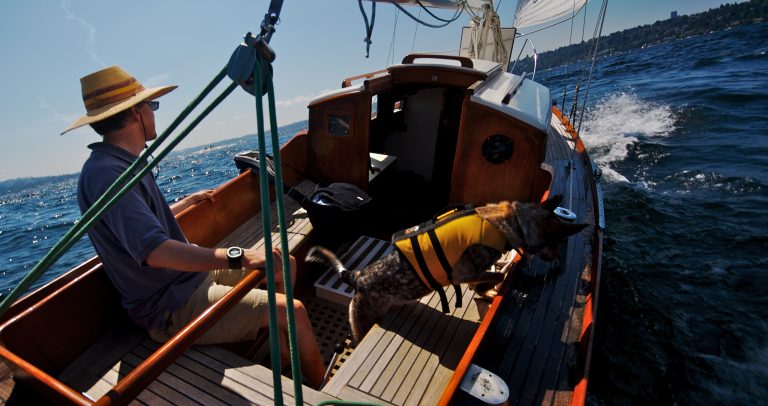 SailingWithChip87 768x406
