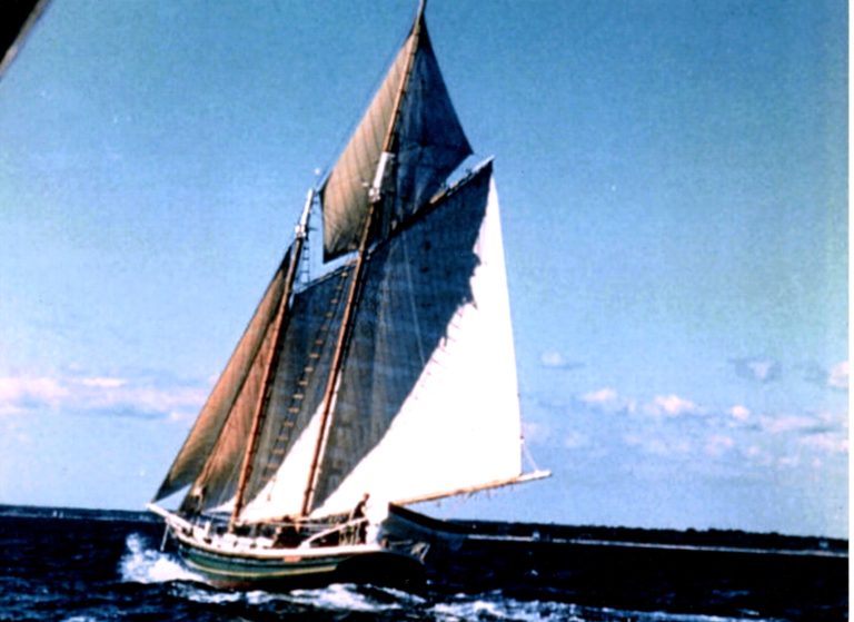 Schnr Gallant 1 768x559