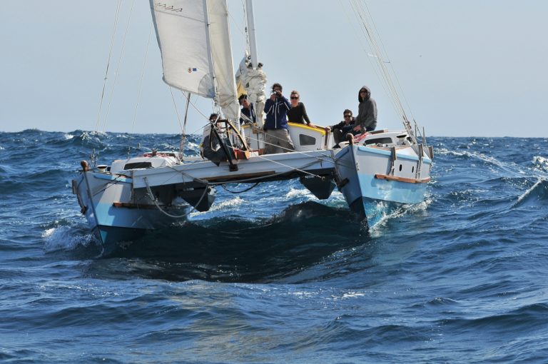 Tiki 38 Pilgrim Pierret DSC 8436 small2 768x510