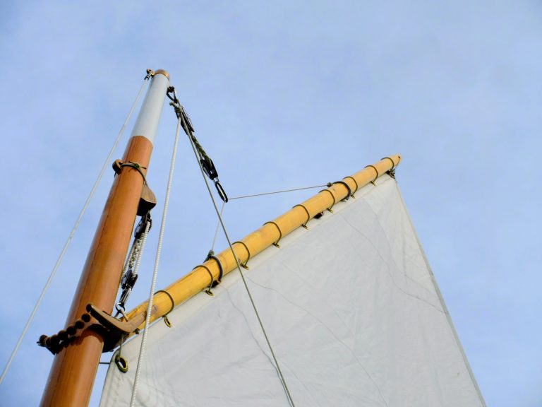 IMG 1544 22 768x576