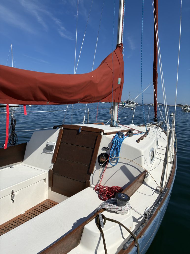 IMG 2478 768x1024